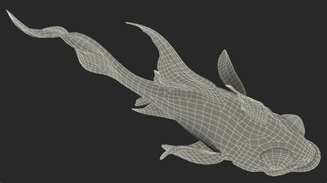 Banggai Cardinalfish Swimming Pose 3D model | 3D Molier International