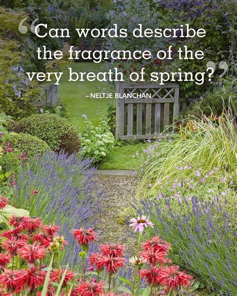 First Day Of Spring Messages Quotes And Poems To Share
