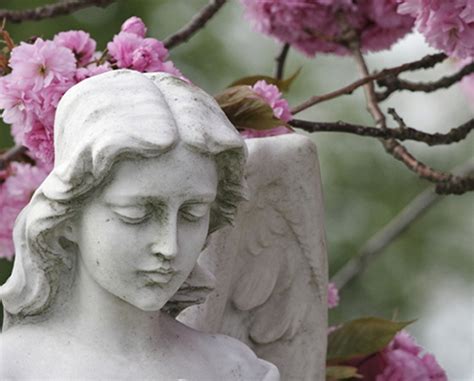 Dimbleby Funeral Homes | Whitesboro, West Winfield, Holland Patent ...