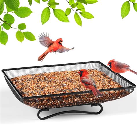 Amazon.com : MIXXIDEA Ground Bird Feeder Tray 11x11 Inches, Metal ...