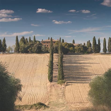 Buy Maestri Pastai, Gourmet Cavatelli Little Caves Italian Pasta (Pack ...