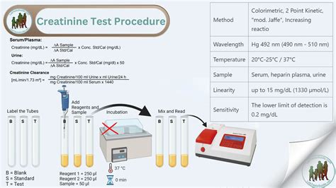 Image result for Creatinine Lab Testing