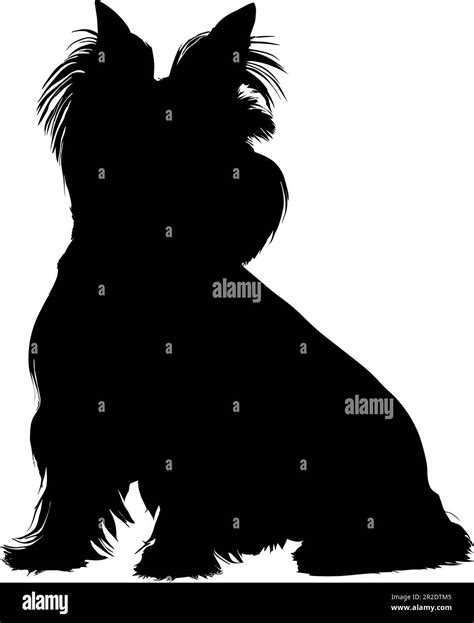 West highland black terrier Stock Vector Images - Alamy