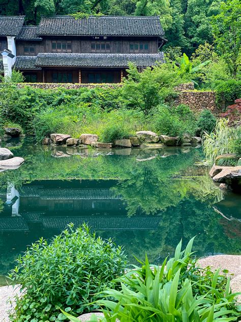 杭州植物园植物与风景最好的部分就在西区-风景照-19摄区-杭州19楼