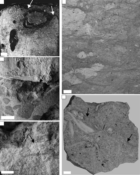 Image result for Hole Discontinuity Examples