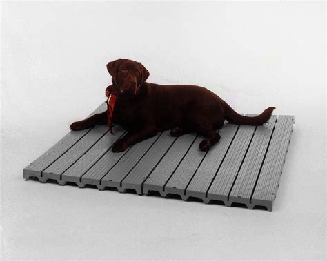 5 Best Flooring for Outdoor Dog Kennel [TESTED] - Dogcattalk