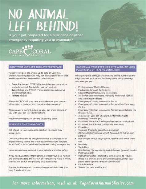 Cape Coral Animal Shelters offering free crates/carriers and pet food ...