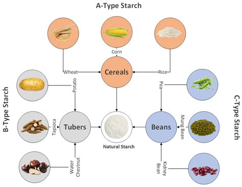 Rice Starch Chemistry, Functional Properties, and Industrial ...
