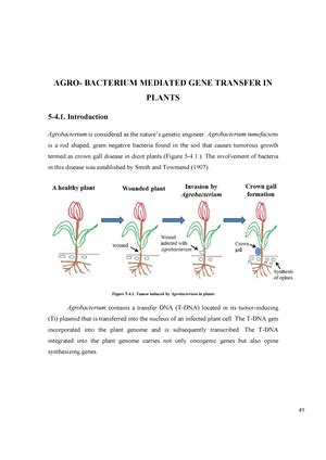 Application of pcr cloning (genetic engineering) - Molecular Biology ...