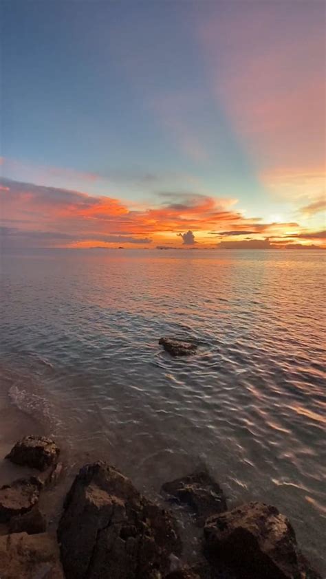 Ocean View 的图像结果