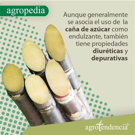 Image result for MariaDB SQL Structure for Decimal