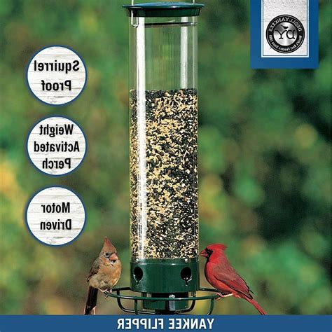 Squirrel-Proof Bird Feeder: Droll Yankees YF-M Yankee Flipper
