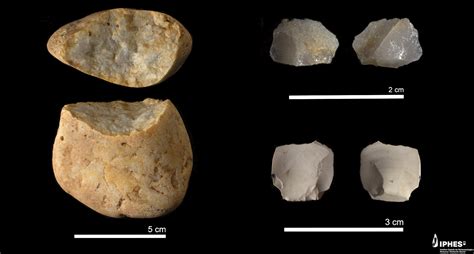 Fossil face bones discovered in Spanish cave may belong to first ...