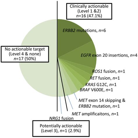 Next-Generation Sequencing in Lung Cancers—A Single-Center Experience ...