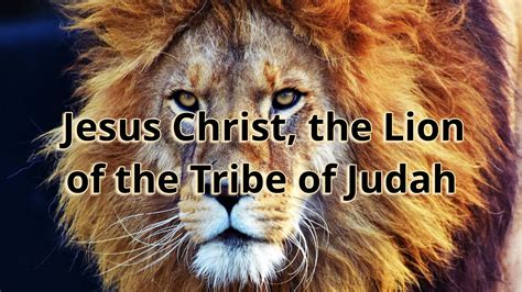 Lion of Judah Wallpapers - Top Free Lion of Judah Backgrounds ...