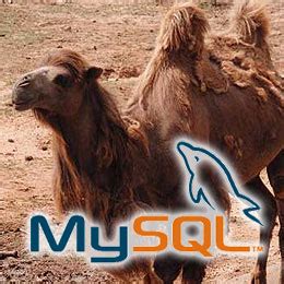 Image result for MySQL Naming Rules