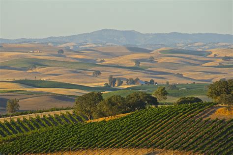 Paso Robles Wine Country - Wine Region Of The Year