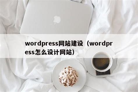 WordPress网站建设 - 林风网络