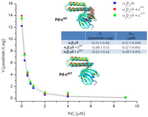 Evolution of the Inhibitory and Non-Inhibitory ε, ζ, and IF1 Subunits ...