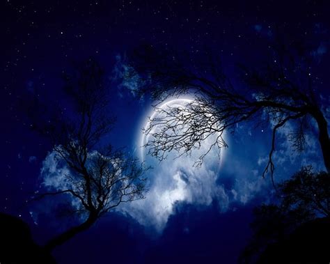 Image result for Moon Pool Tutorial Minecraft