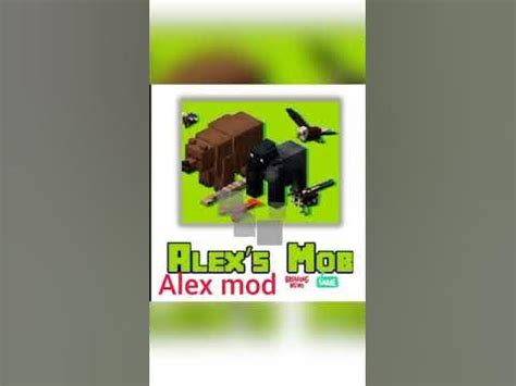Image result for Alexscom Modpack
