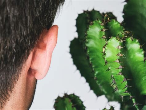 ¿Qué es el tinnitus? Causas y tratamiento - Blog audifono.es