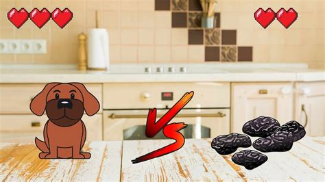 CAN DOGS EAT RAISINS? [HIGHLY TOXIC] - Safe For Dog