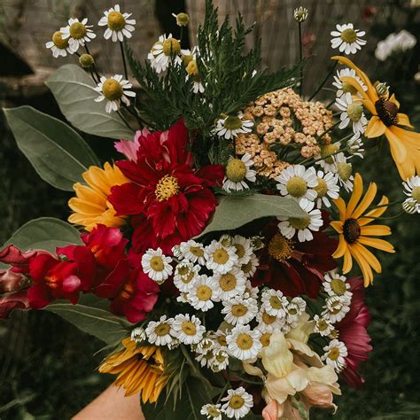 Amanda Mays on Instagram: "Have you ever seen a cuter flower than ...