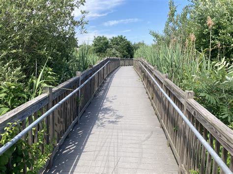 Fairfield Train Station Tidal Restoration – William Kenny Associates