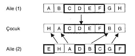 Genetik Algoritmalar