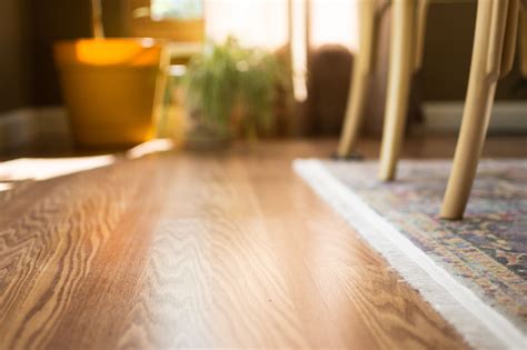 How To Fix A Chip In Hardwood Floor at Jane Shepherd blog