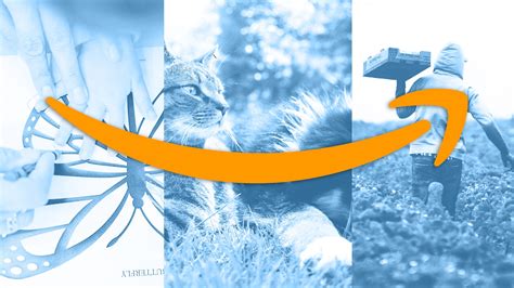 What is AmazonSmile and how does it work? - Fast Company