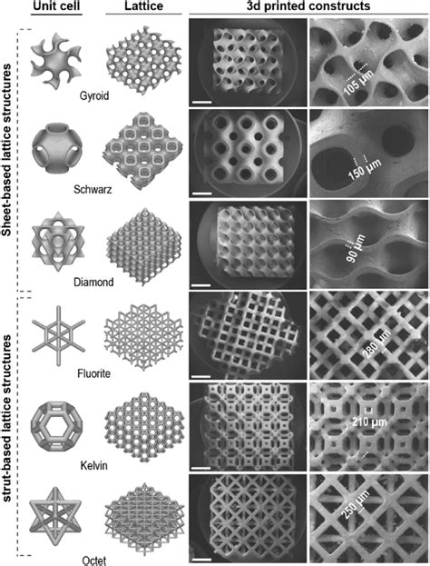 Image result for Sem Structure