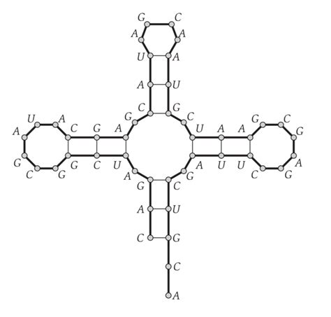 RNA Secondary Structure | k317h