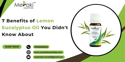 Lemon Eucalyptus Oil: Natural Uses & Benefits | Meraki Essentials
