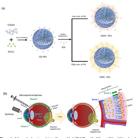 Subconjunctival Injection 的图像结果