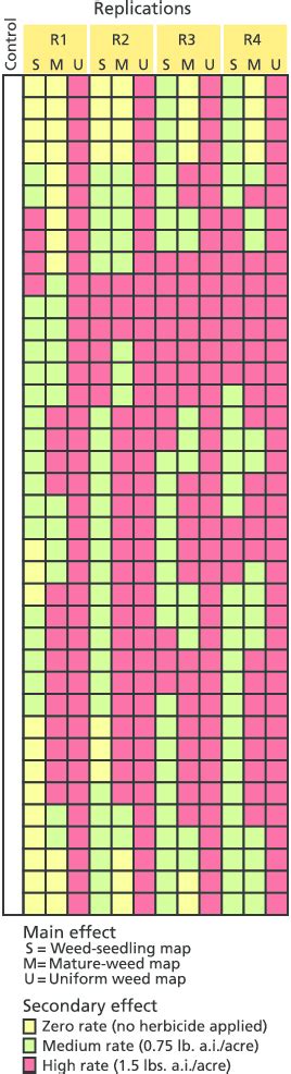 Image result for Split Split Plot Map