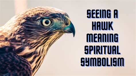 What Does A Hawk Represent In The Bible at Nelson Roberto blog