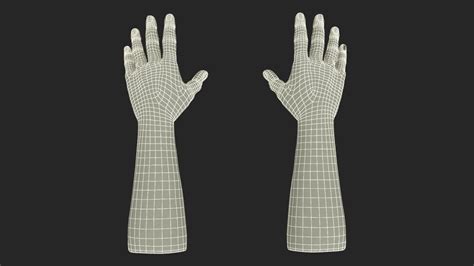 3D model White Man Hands Base Pose | 3D Molier International