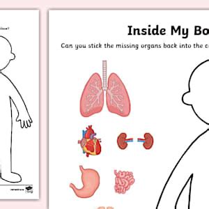 Grade R LS - Worksheet: Inside my Body (CAPS Aligned)