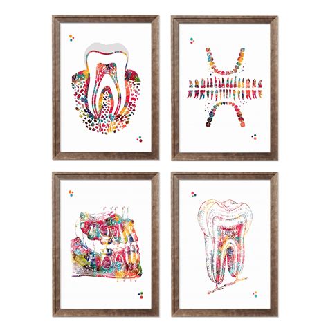 Dental Watercolor 8x10 Unframed Print Set Tooth Chart Wall Art Dental ...