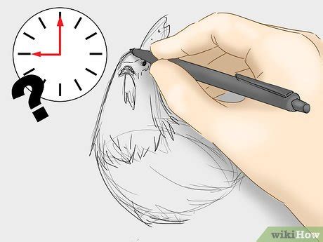 Image result for How to Practice Drawing