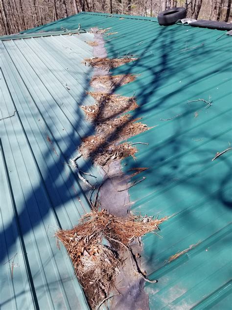 What Cleaning Materials to Use on a Metal Roof - Metal Roof Pros