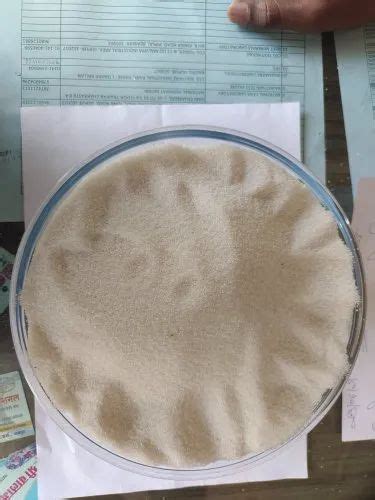 Quartz Grains - White Quartz Grains Manufacturer from Jaipur