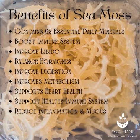 Benefits of Sea Moss | Yogi Mami - Victoria Moore