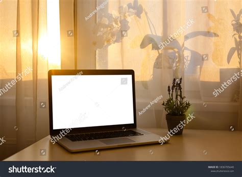 How to Open Blank Computer 的图像结果