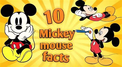 Facts About Mickey Mouse 的图像结果