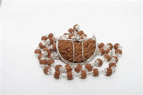 Experience Spiritual Harmony with Mahadev Kavach Rudraksha ...