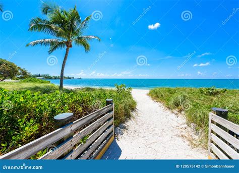 Sombrero Beach with Palm Trees on the Florida Keys, Marathon, Fl Stock ...