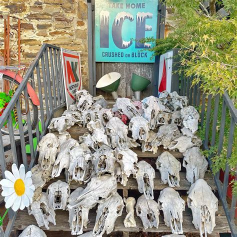 Fayetteville's Funky Flea Market - All You Need to Know BEFORE You Go